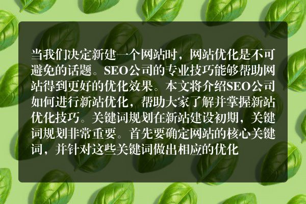 如何让新站更好地进行优化（探究SEO公司的新站优化技巧）